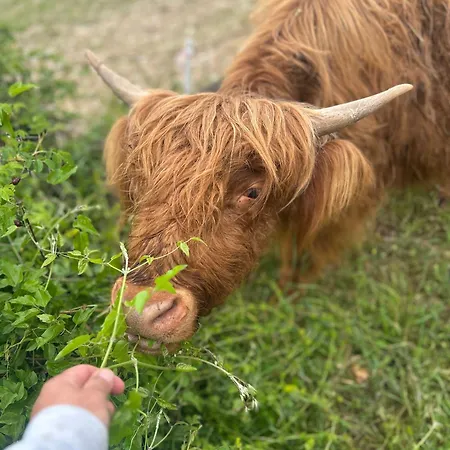 Da Mammamimma * Cascia