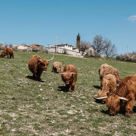 Farmház Da Mammamimma *