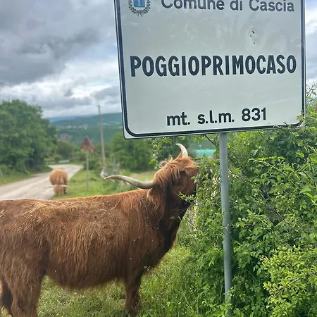 Da Mammamimma Farmház