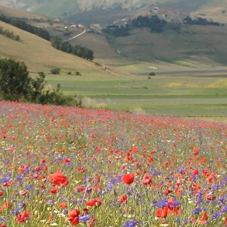 Agroturismo Da Mammamimma *
