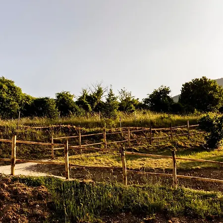 Da Mammamimma Agroturismo Cascia