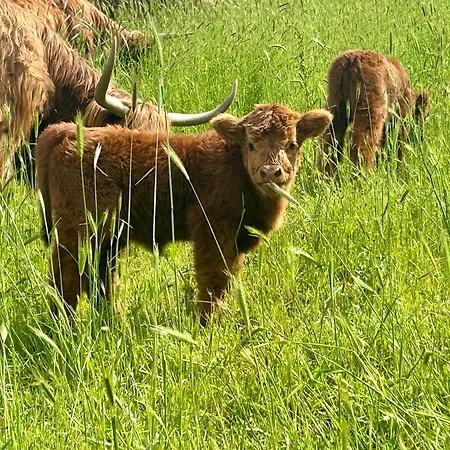 Farmház Da Mammamimma Cascia