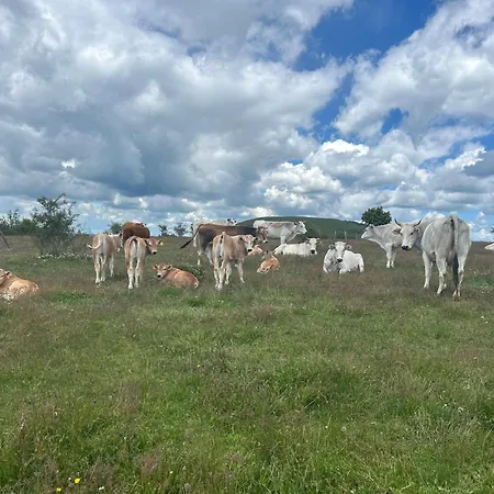 Da Mammamimma * Cascia