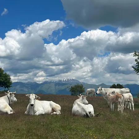 Farmház Da Mammamimma Cascia