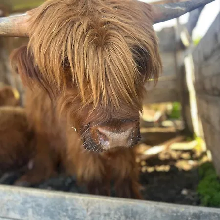 Farmház Da Mammamimma Cascia