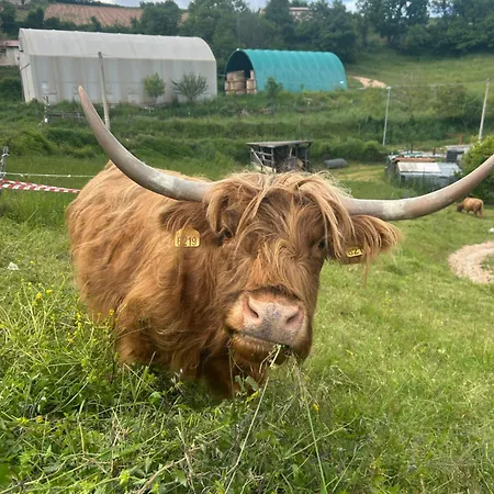 Da Mammamimma Cascia