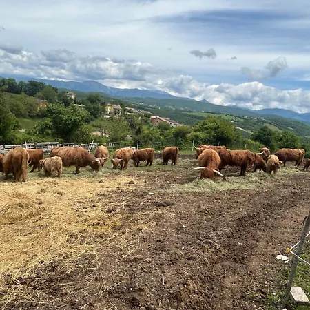 Da Mammamimma Cascia