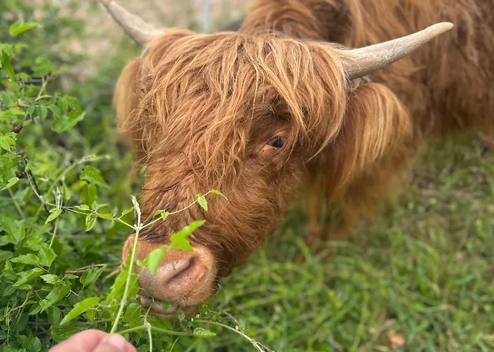 Da Mammamimma * Cascia