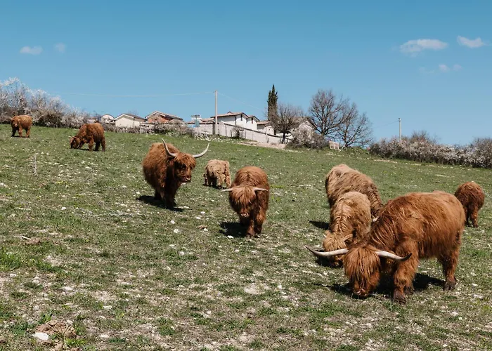 Agroturismo Da Mammamimma *