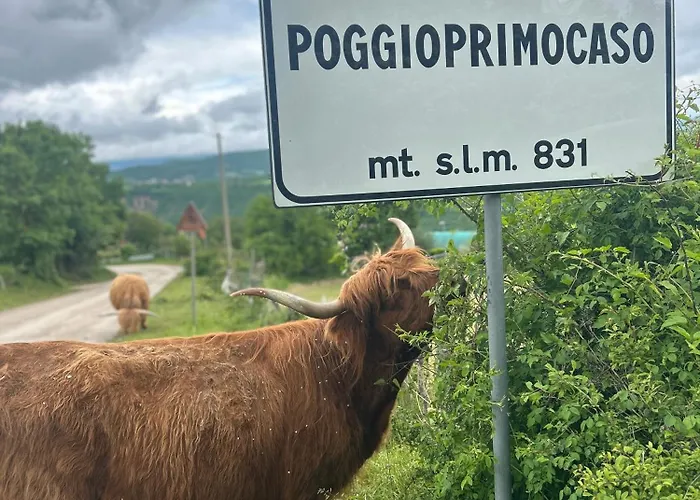 Da Mammamimma Gospodarstwo agroturystyczne