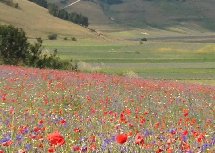 Gospodarstwo agroturystyczne Da Mammamimma *