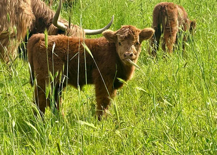 Gospodarstwo agroturystyczne Da Mammamimma Cascia