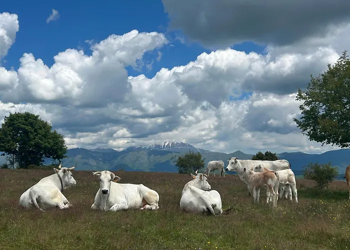 Agroturismo Da Mammamimma Cascia