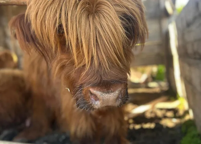Gospodarstwo agroturystyczne Da Mammamimma Cascia