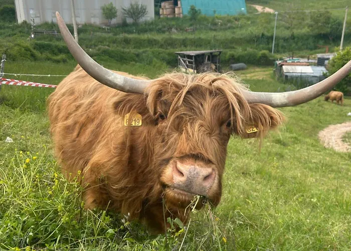 Da Mammamimma Cascia