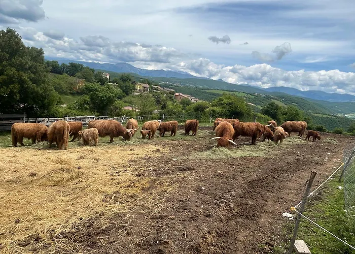 Da Mammamimma Cascia